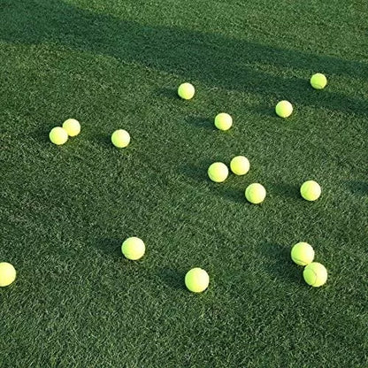 Pack de  6 Pelota De Tennis